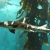 leopard shark in San Diego - La Jolla Underwater Park